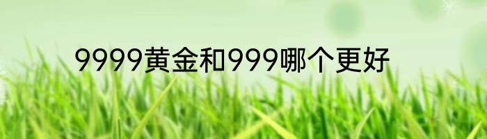 9999黄金和999哪个更好