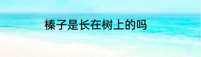 榛子是长在树上的吗