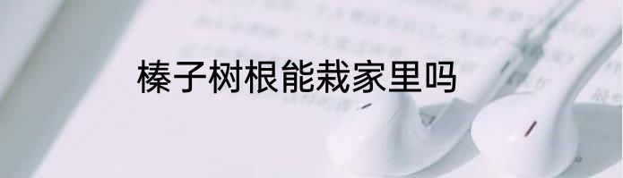 榛子树根能栽家里吗
