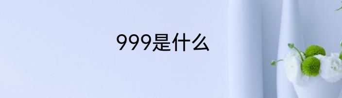999是什么