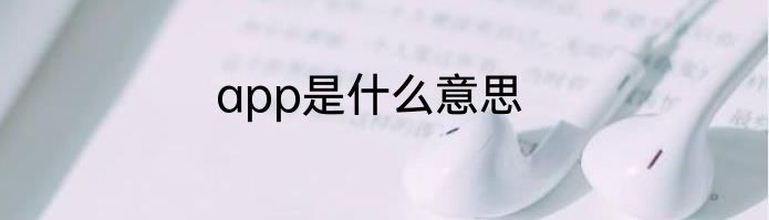 app是什么意思