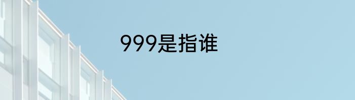 999是指谁
