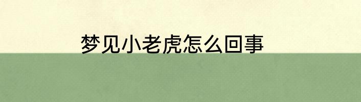 梦见小老虎怎么回事