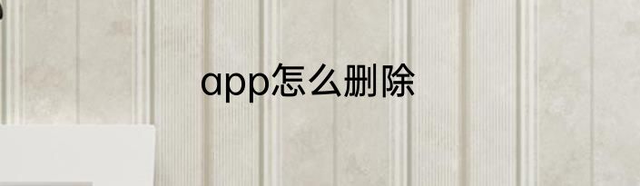 app怎么删除