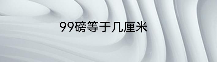 99磅等于几厘米