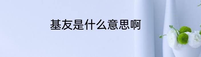 基友是什么意思啊