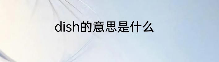 dish的意思是什么