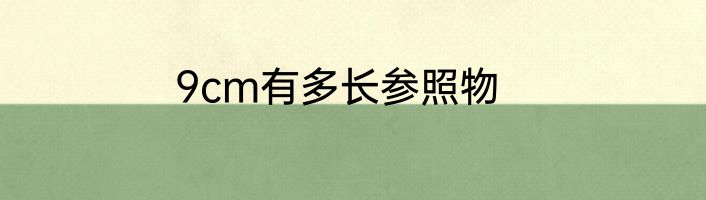 9cm有多长参照物