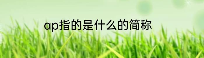 ap指的是什么的简称