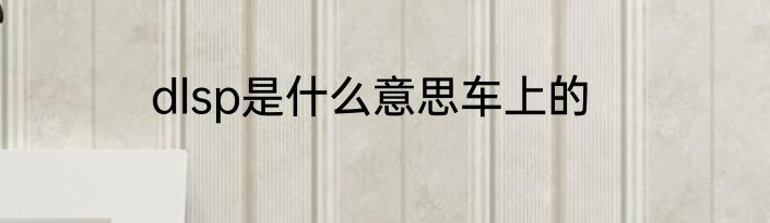 dlsp是什么意思车上的
