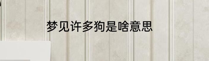 梦见许多狗是啥意思
