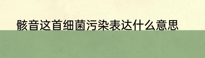 骸音这首细菌污染表达什么意思