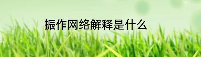 振作网络解释是什么
