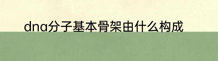 dna分子基本骨架由什么构成