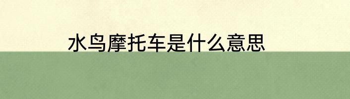 水鸟摩托车是什么意思