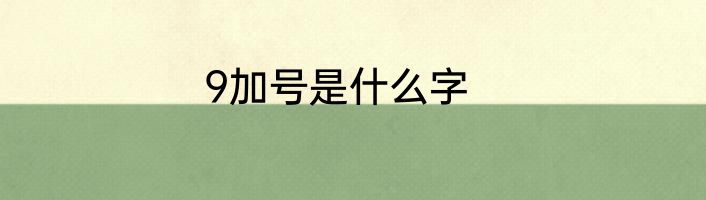 9加号是什么字