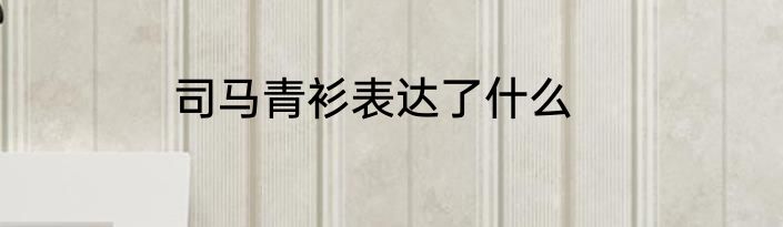 司马青衫表达了什么