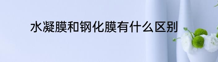 水凝膜和钢化膜有什么区别