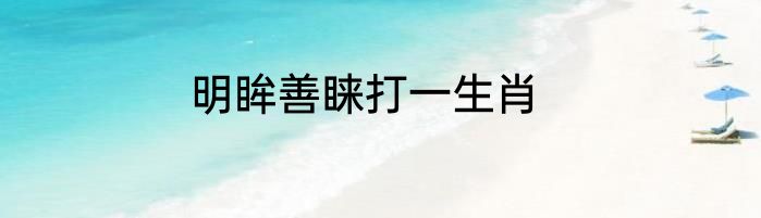 明眸善睐打一生肖