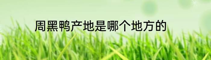 周黑鸭产地是哪个地方的