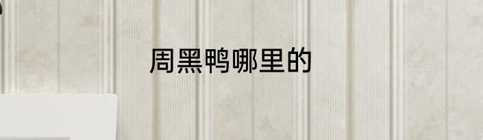 周黑鸭哪里的