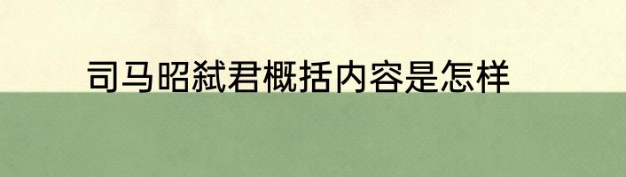 司马昭弑君概括内容是怎样