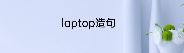 laptop造句