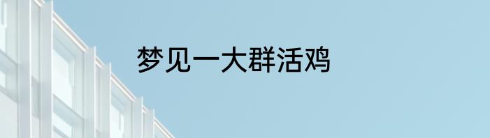 梦见一大群活鸡