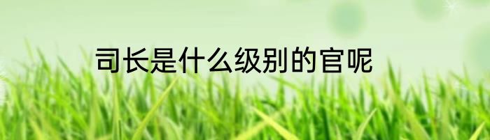 司长是什么级别的官呢