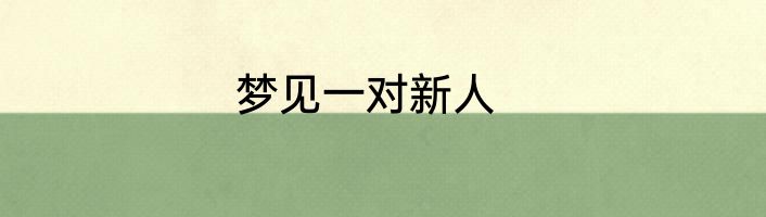 梦见一对新人