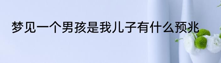 梦见一个男孩是我儿子有什么预兆