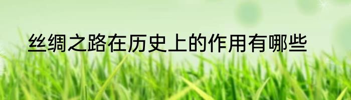 丝绸之路在历史上的作用有哪些