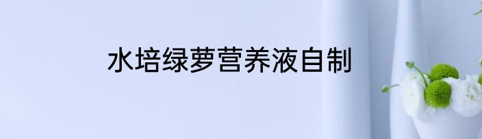 水培绿萝营养液自制
