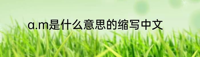 a.m是什么意思的缩写中文