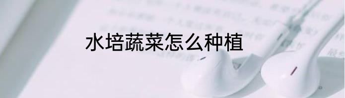 水培蔬菜怎么种植