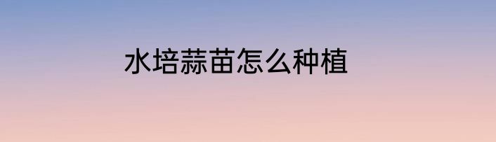 水培蒜苗怎么种植
