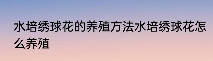 水培绣球花的养殖方法水培绣球花怎么养殖