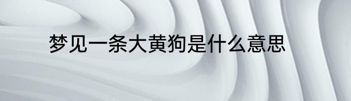 梦见一条大黄狗是什么意思