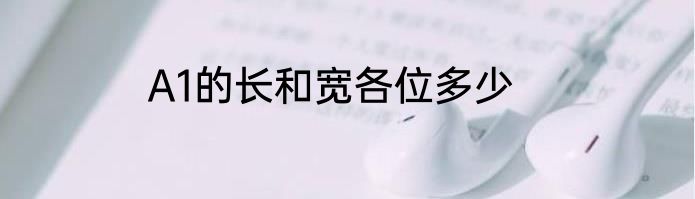 A1的长和宽各位多少
