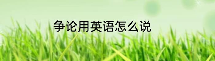 争论用英语怎么说