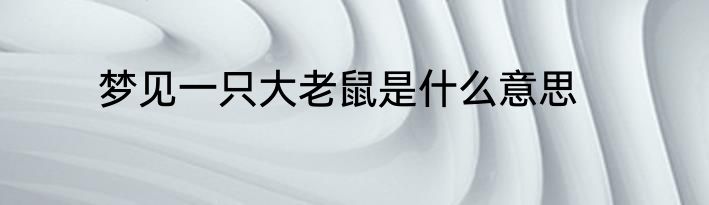 梦见一只大老鼠是什么意思