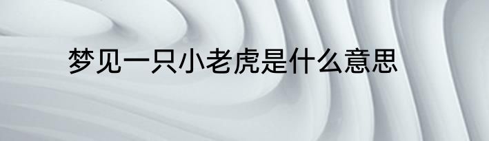 梦见一只小老虎是什么意思