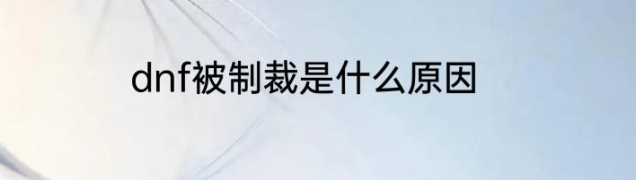 dnf被制裁是什么原因