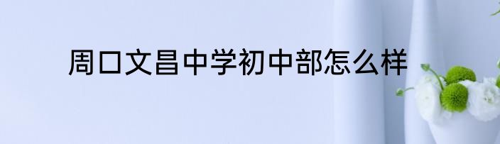 周口文昌中学初中部怎么样