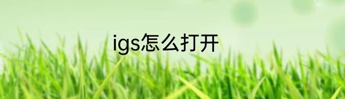 igs怎么打开