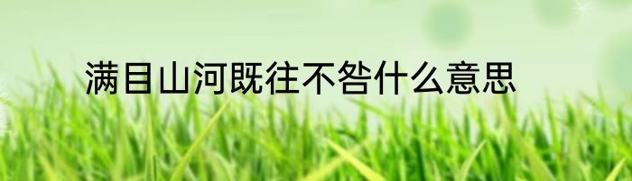 满目山河既往不咎什么意思