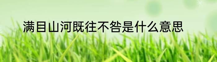 满目山河既往不咎是什么意思