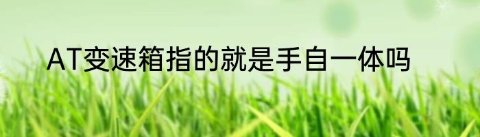 AT变速箱指的就是手自一体吗
