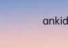 ankidroid怎么用