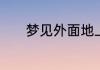 梦见外面地上有雪是什么意思